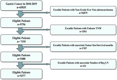 Machine learning to predict distant metastasis and prognostic analysis of moderately differentiated gastric adenocarcinoma patients: a novel focus on lymph node indicators